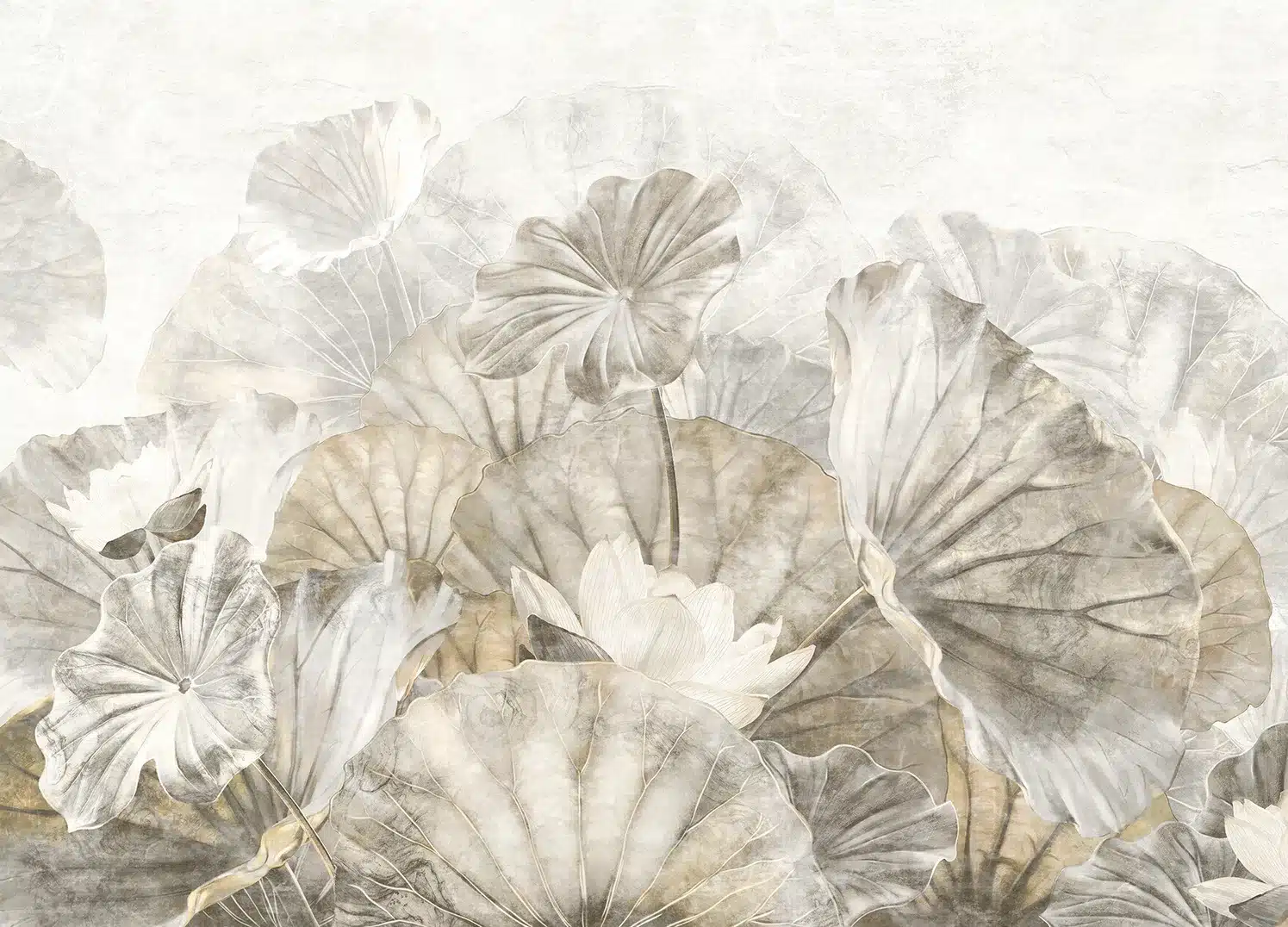Wall Mural White Lotus Leaves, Made to Measure, FT5P 352237