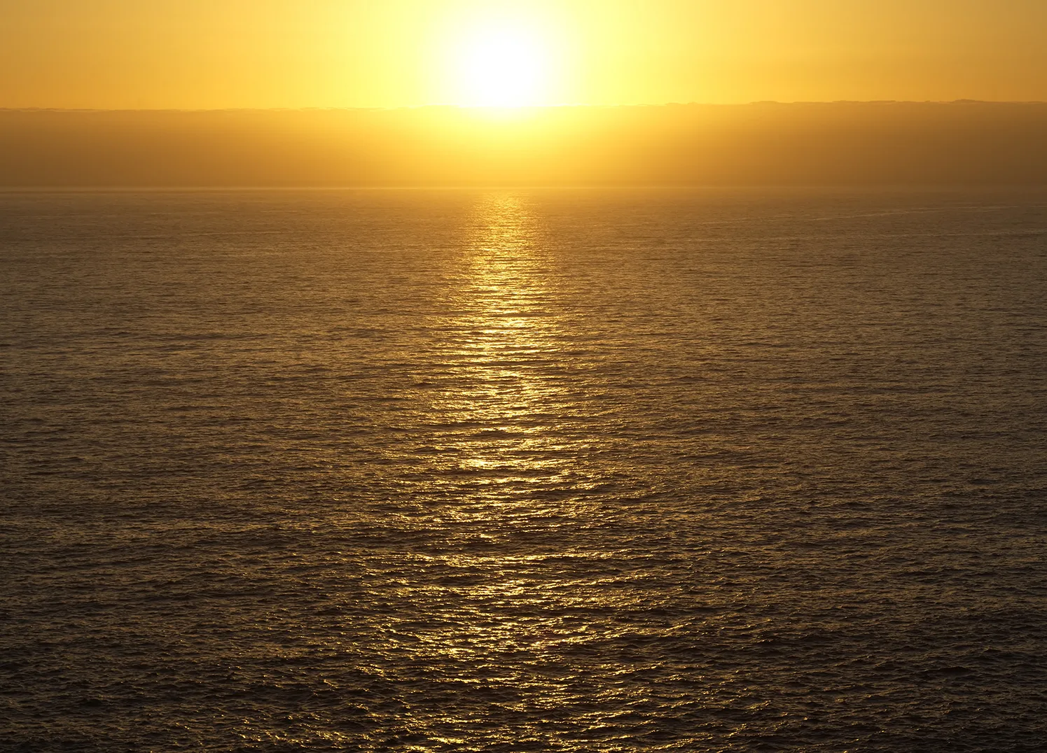 Yellow Ocean Sunset | Made-to-Measure Wallpaper | Artlook | FT5P 352255