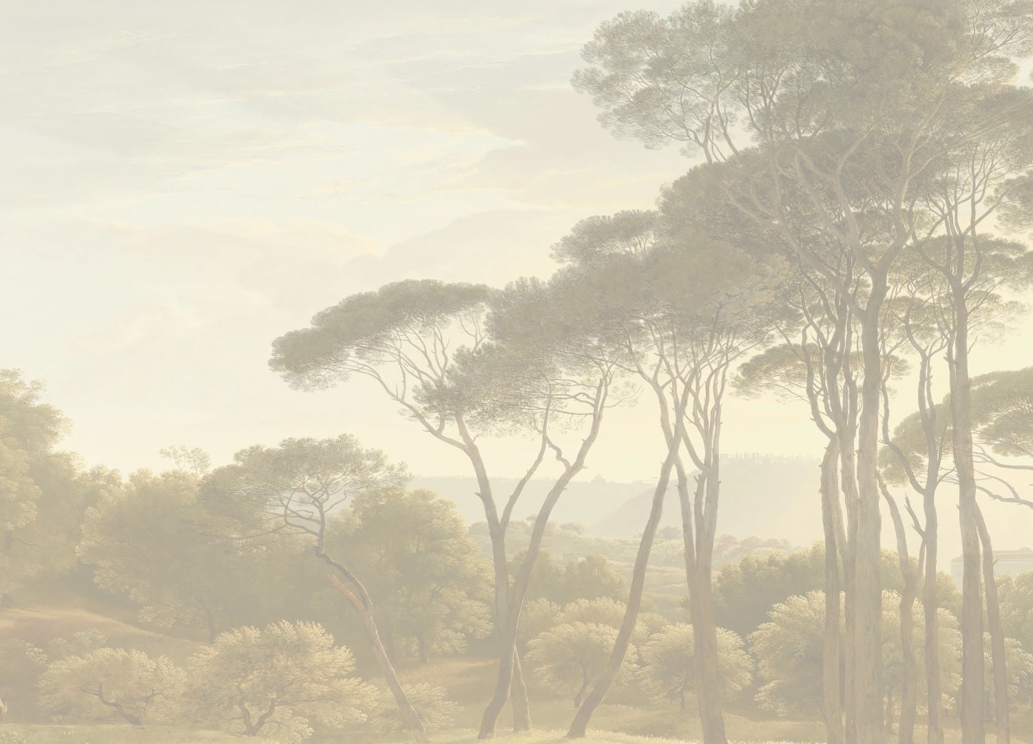 Beige Savannah View | Made-to-Measure Wallpaper | Artlook | FT5P 3047