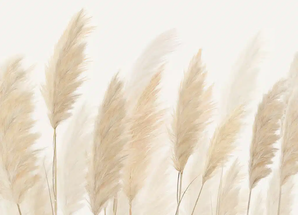 Wall Mural Pampas, Made to Measure, FT5P 3057