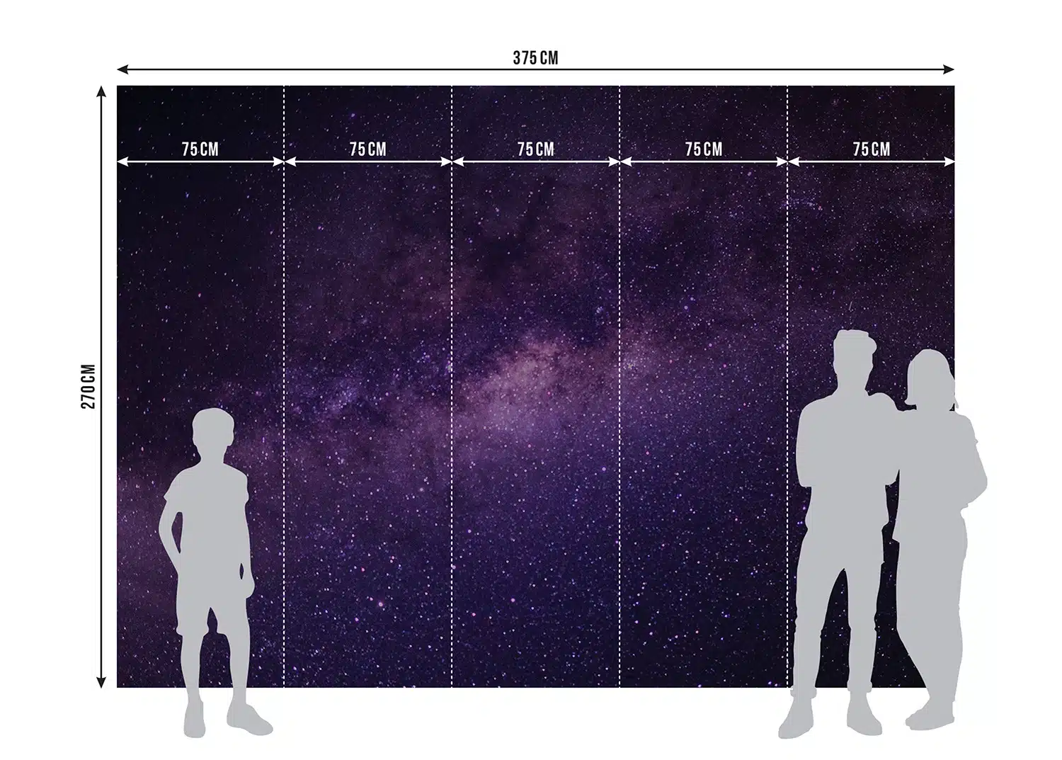 Wall Mural Milky Way, Made to Measure, FT5P 352051 6