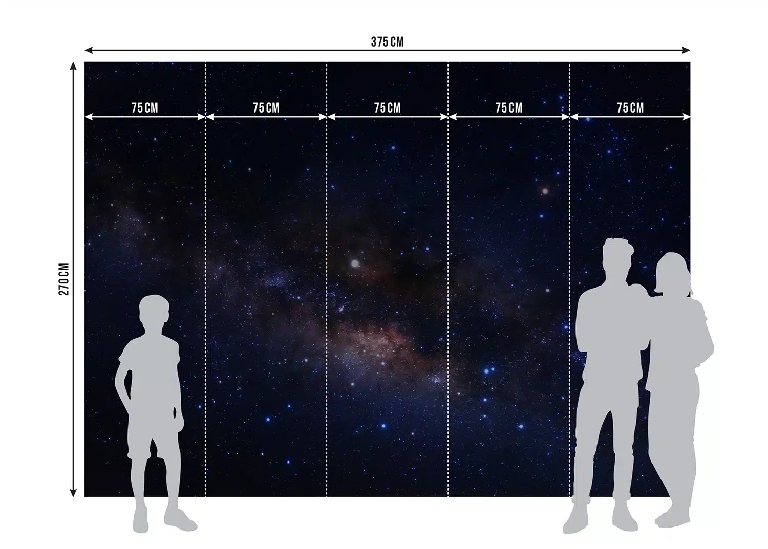 Wall Mural Milky Way View, Made to Measure, FT5P 352115 6