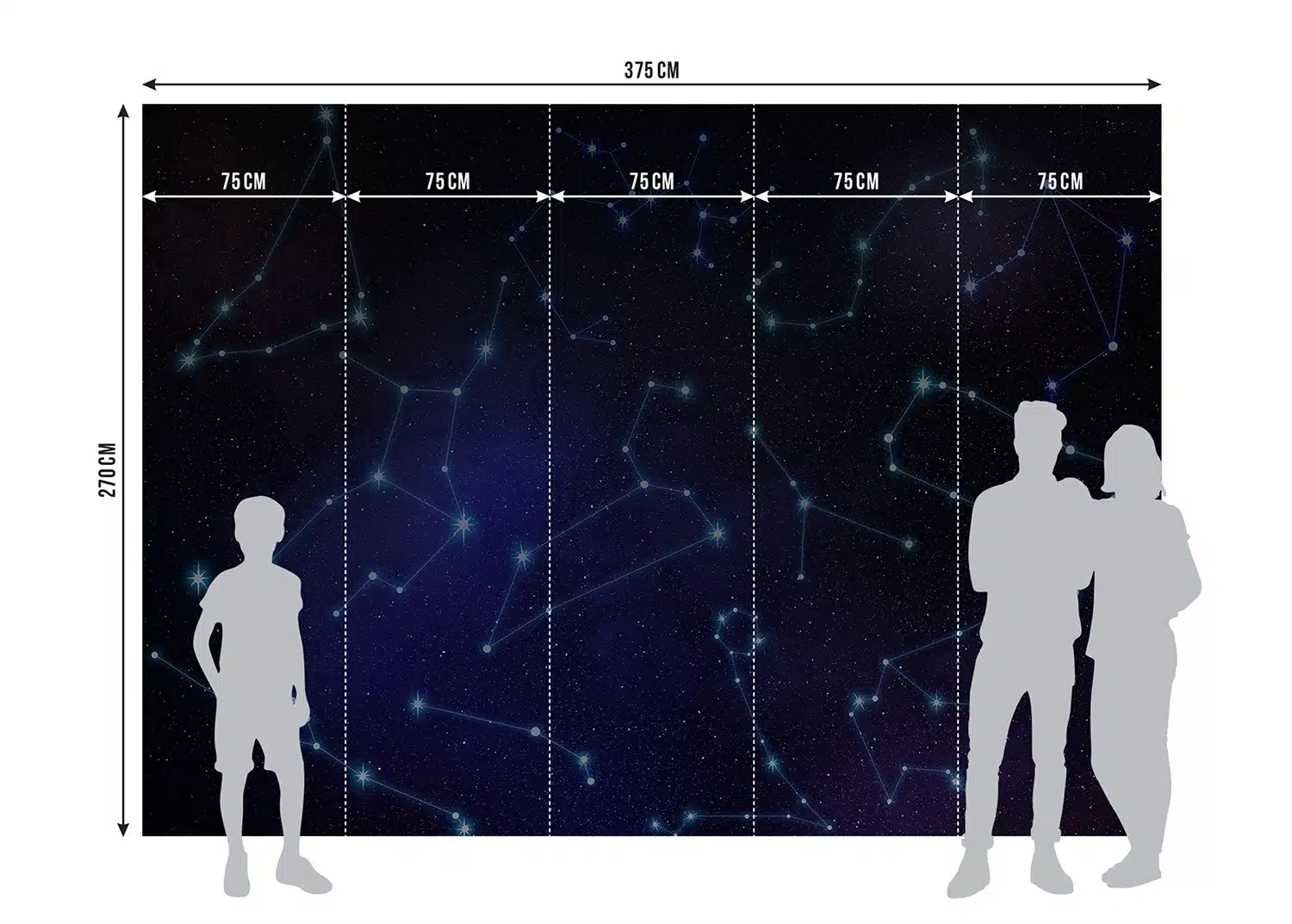 Wall Mural Constellations, Made to Measure, FT5P 352211 6