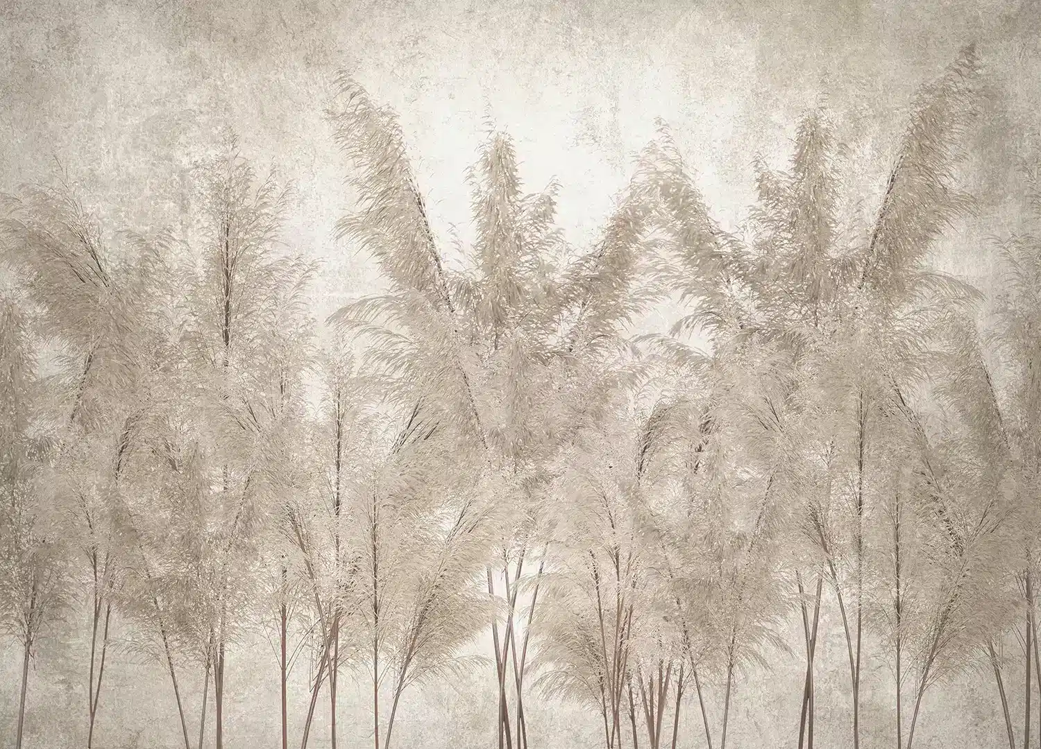 Dim Pampas | Made-to-Measure Wallpaper | Artlook | FT5P 352239