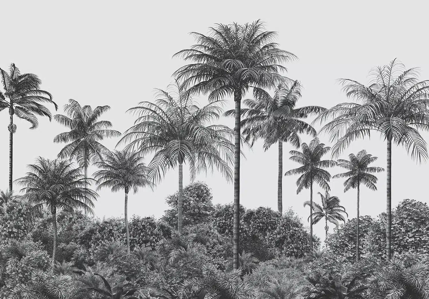 Palm Noir | Made-to-Measure Wallpaper | Artlook | FT5P 352391