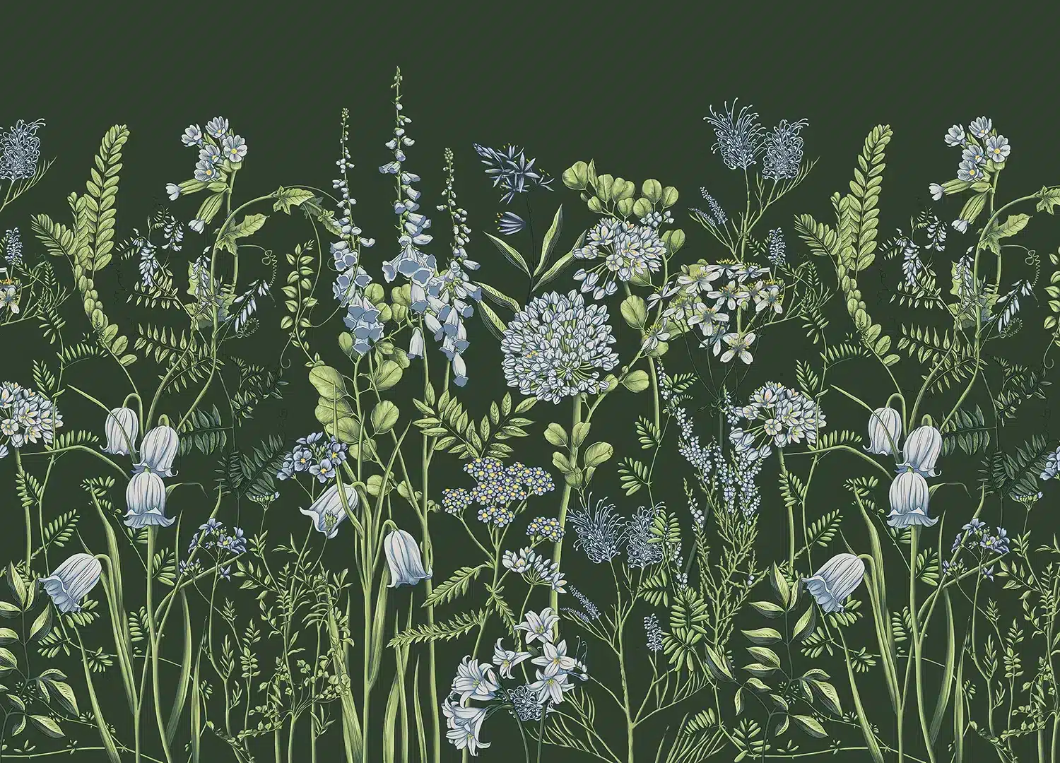 Vetch Flowers on Olive Green | Made-to-Measure Wallpaper | Artlook | FT5P 352403