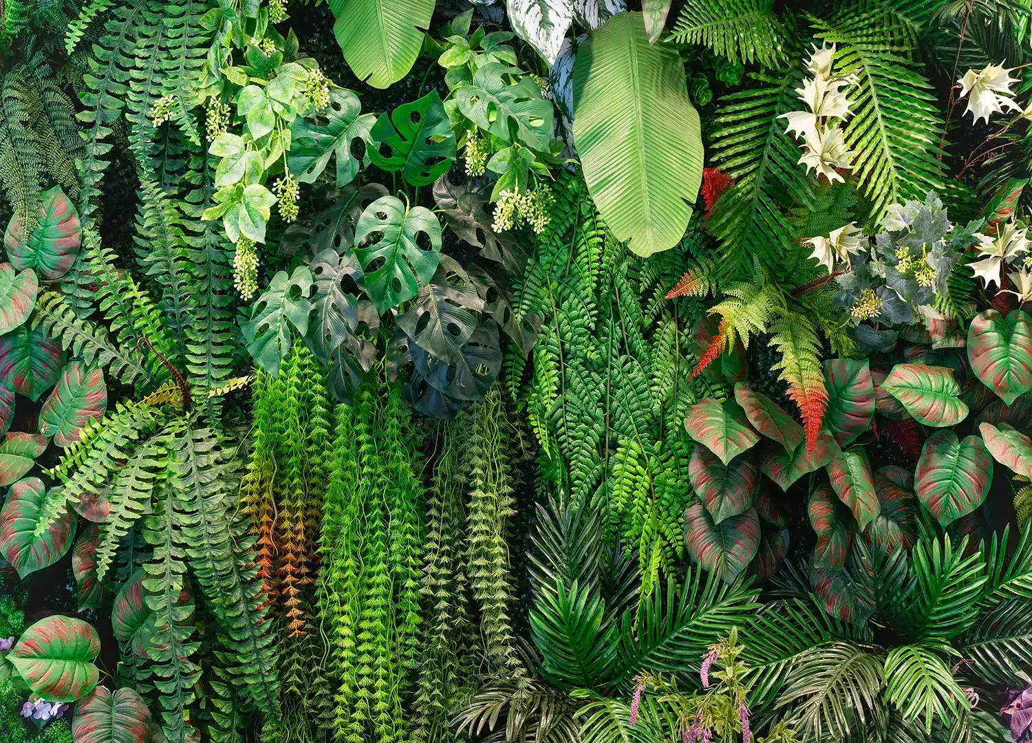Verdant Escape | Made-to-Measure Wallpaper | Artlook | FT5P 352413