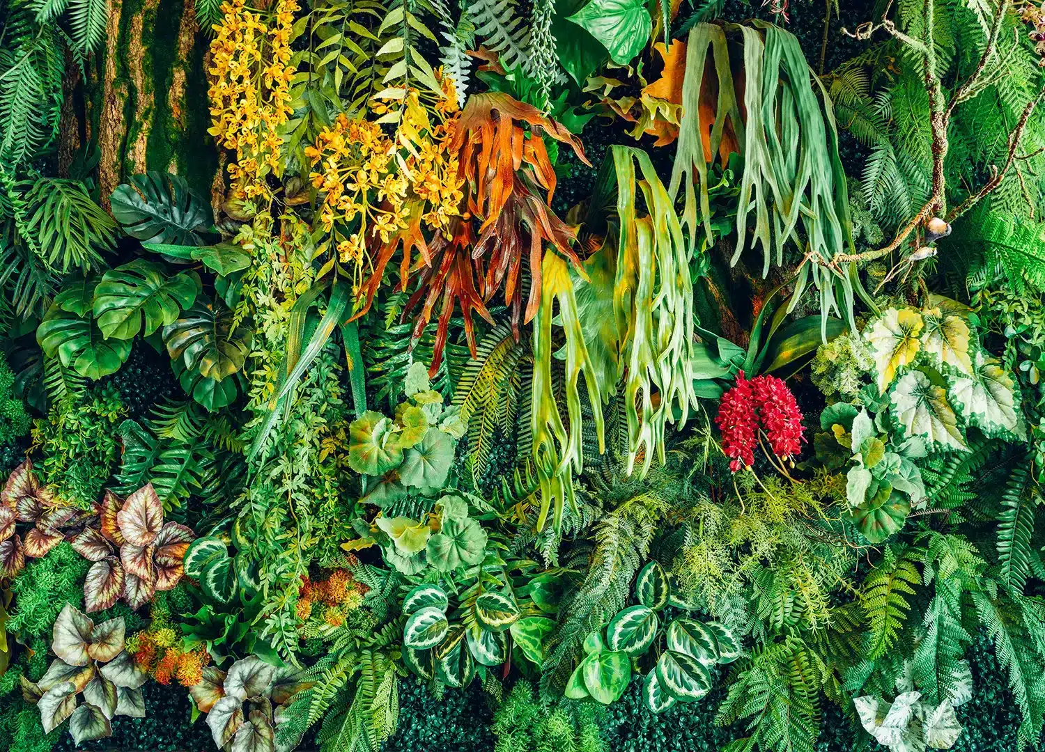Jungle Wall | Made-to-Measure Wallpaper | Artlook | FT5P 352417