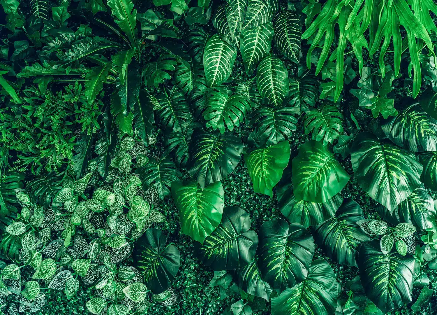 Emerald Jungle | Made-to-Measure Wallpaper | Artlook | FT5P 352421