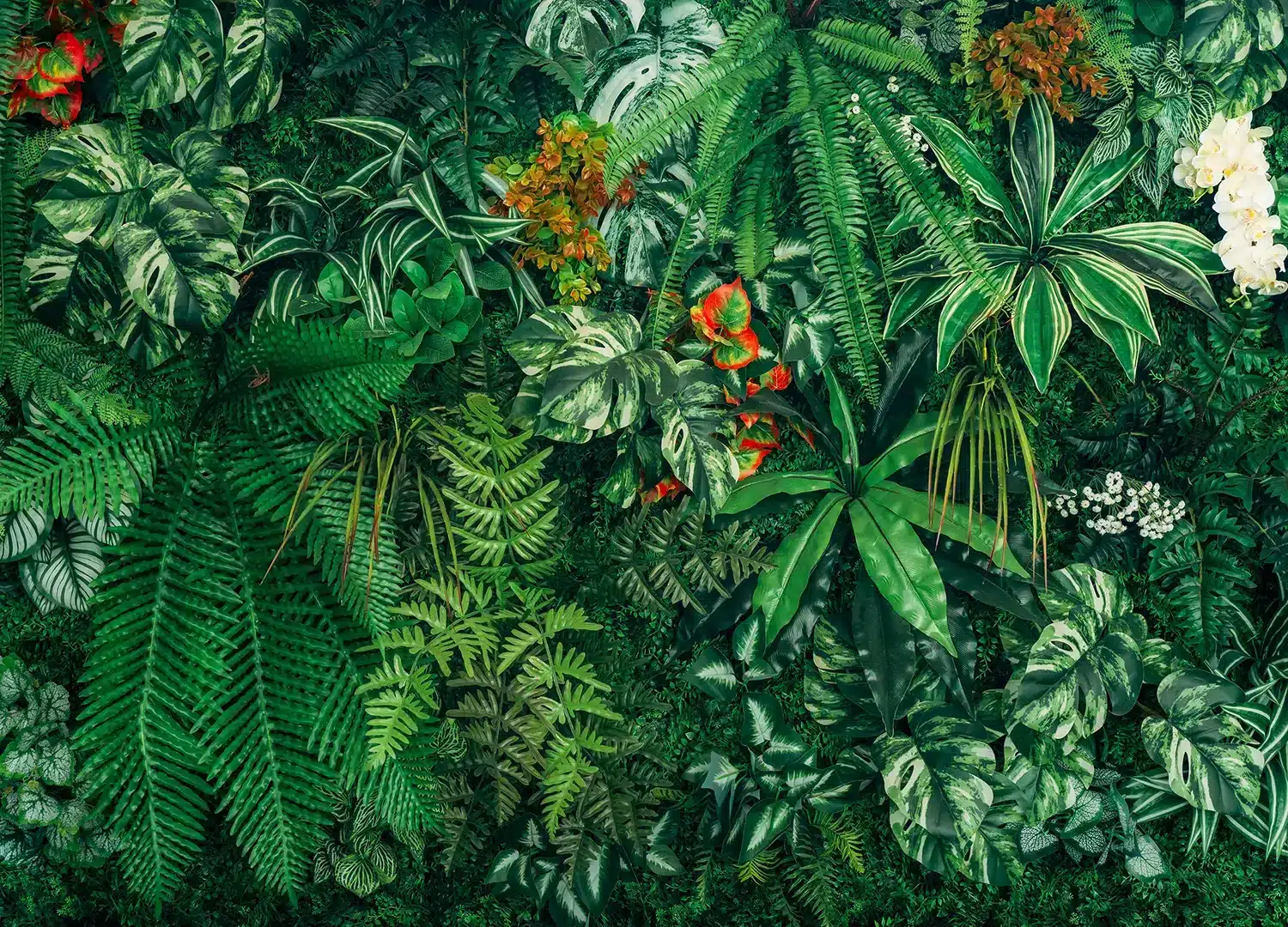 Amazonian Wall | Made-to-Measure Wallpaper | Artlook | FT5P 352423