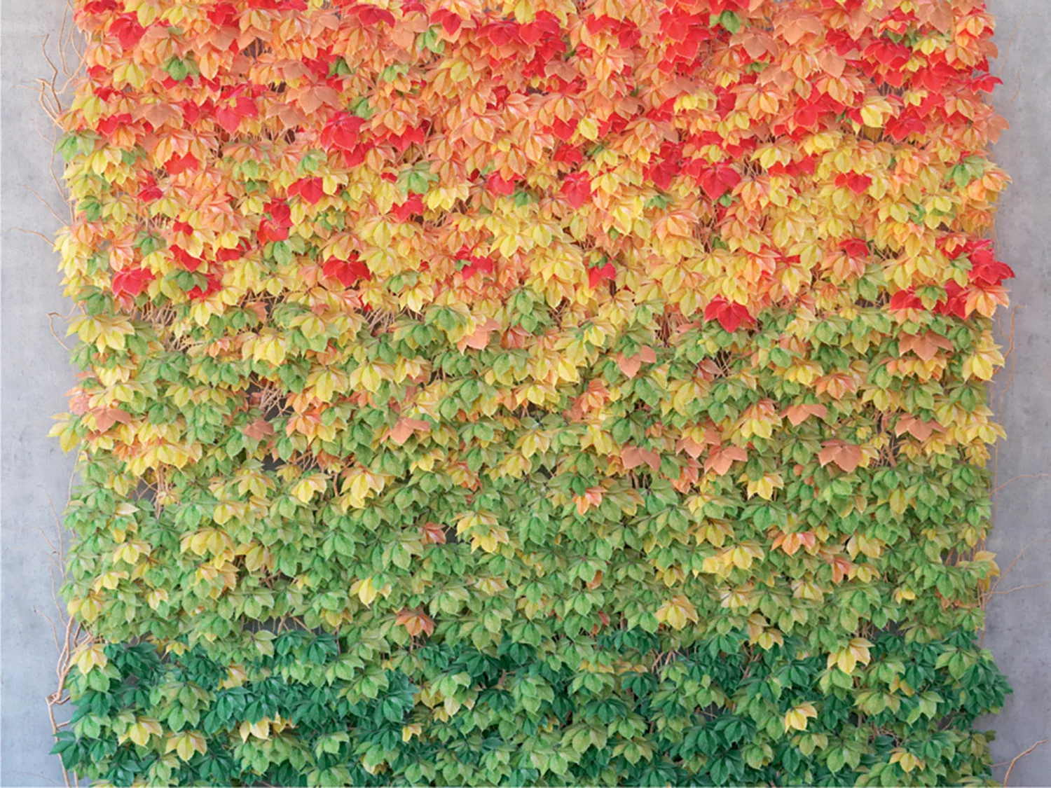Autumn Wall | Made-to-Measure Wallpaper | Artlook | FTNS 1261