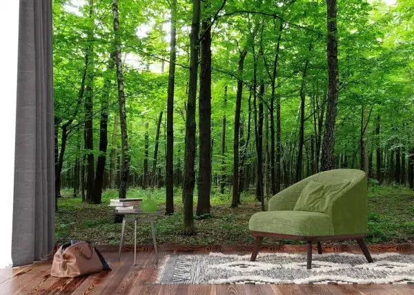Green Forest | Made-to-Measure Wallpaper | Artlook | FTNS 2446