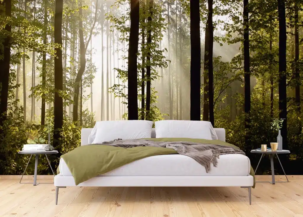 Wall Mural Morning Forest, Made to Measure, FTNS 2447 2