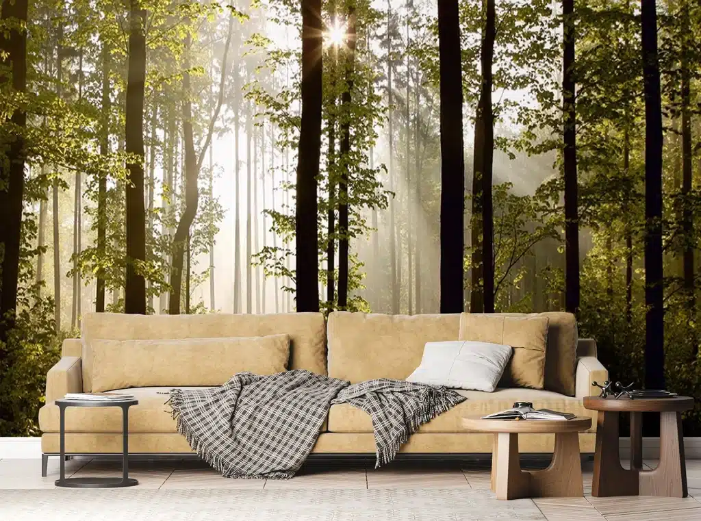 Wall Mural Morning Forest, Made to Measure, FTNS 2447