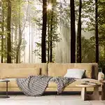 Wall Mural Morning Forest, 375 x 270 cm, FTNS 2447