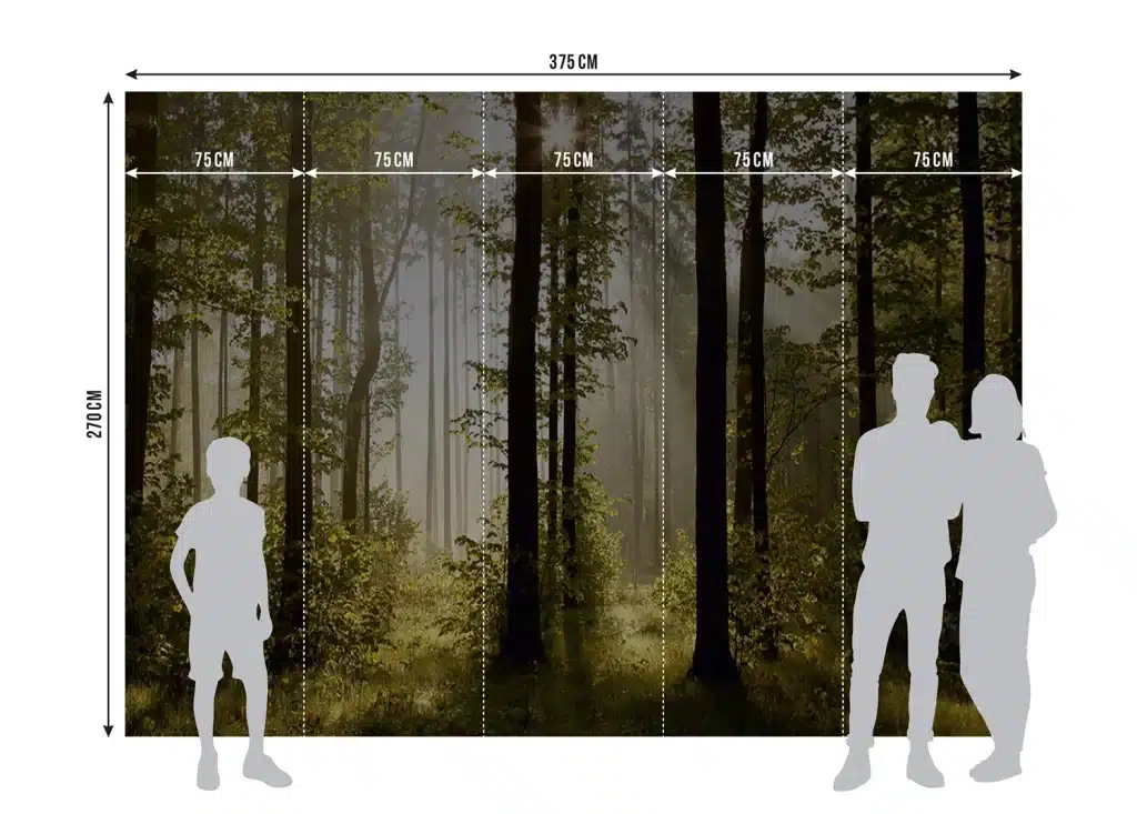 Wall Mural Morning Forest, Made to Measure, FTNS 2447 8