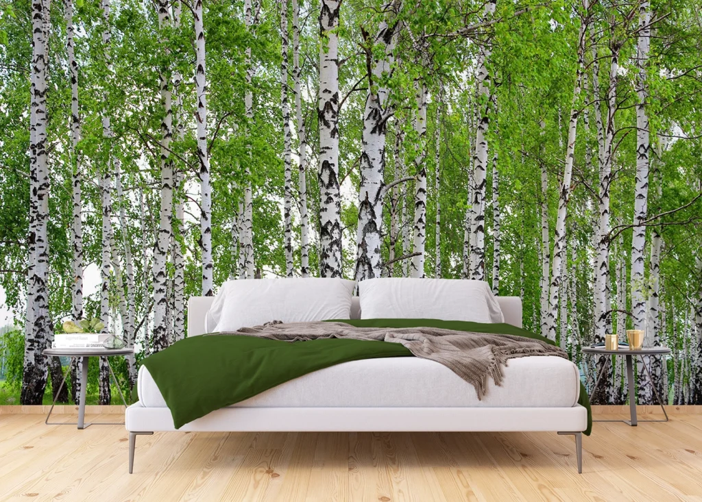 Wall Mural Birch Forest, Made to Measure, FTNS 2448