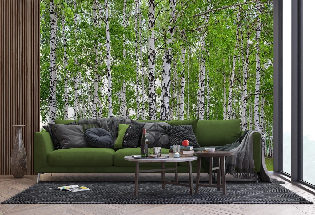 Wall Mural Birch Forest, Made to Measure, FTNS 2448 3