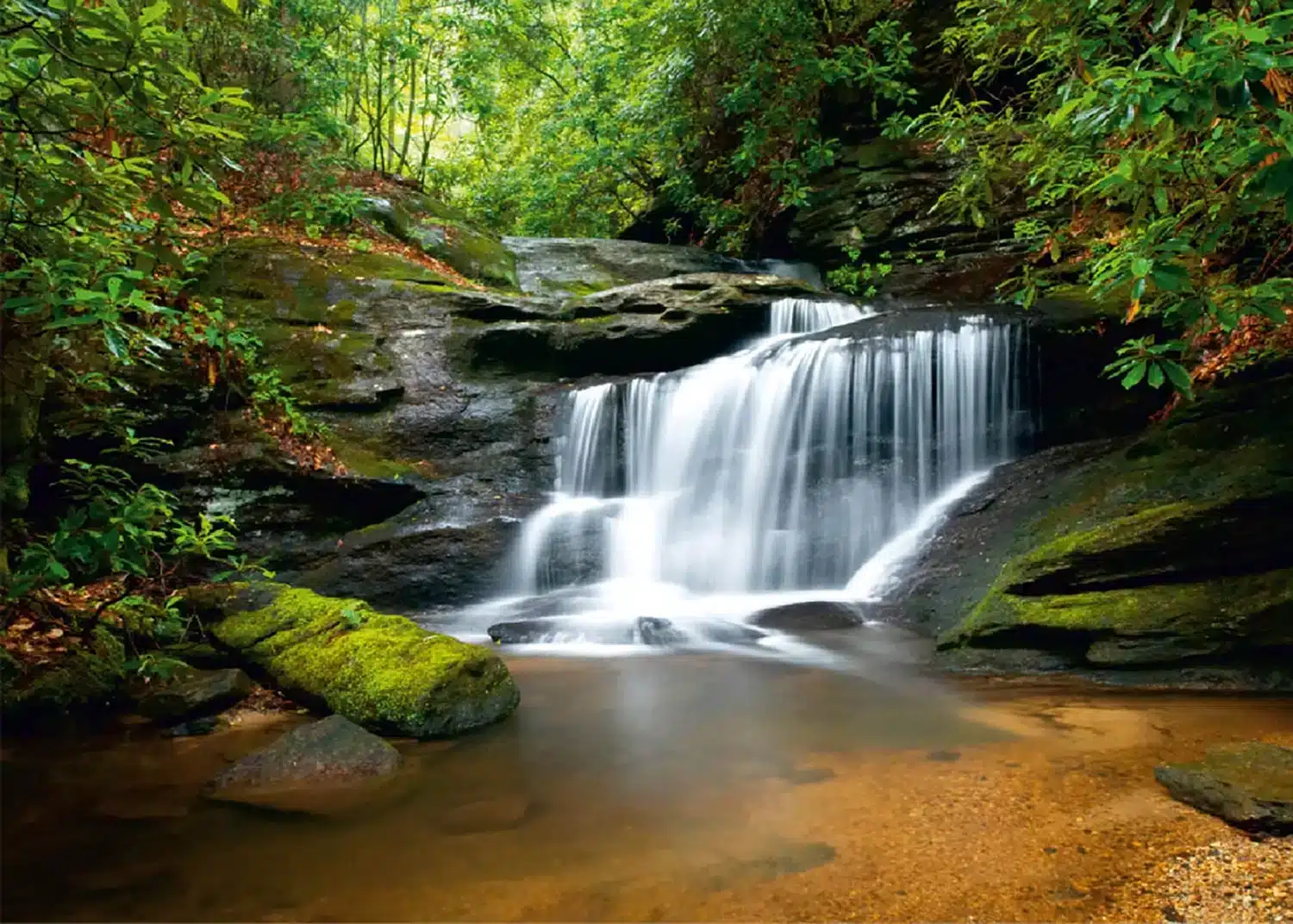 Forest Waterfall | Made-to-Measure Wallpaper | Artlook | FTNS 2450