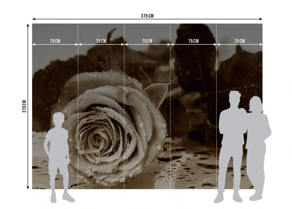 Wall Mural Vintage Rose, Made to Measure, FTNS 2458 6