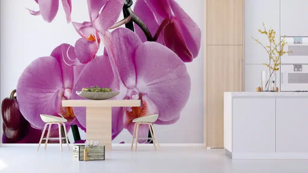 Wall Mural Violet Orchid, Made to Measure, FTNS 2459 3