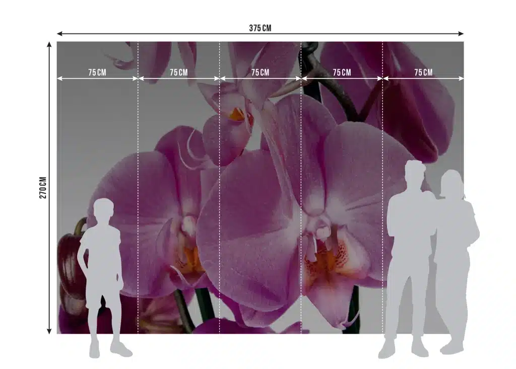 Wall Mural Violet Orchid, Made to Measure, FTNS 2459 5