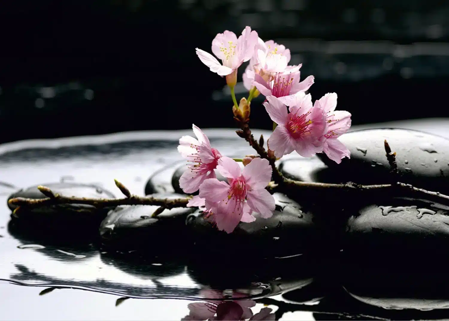 Blooming Pond | Made-to-Measure Wallpaper | Artlook | FTNS 2460