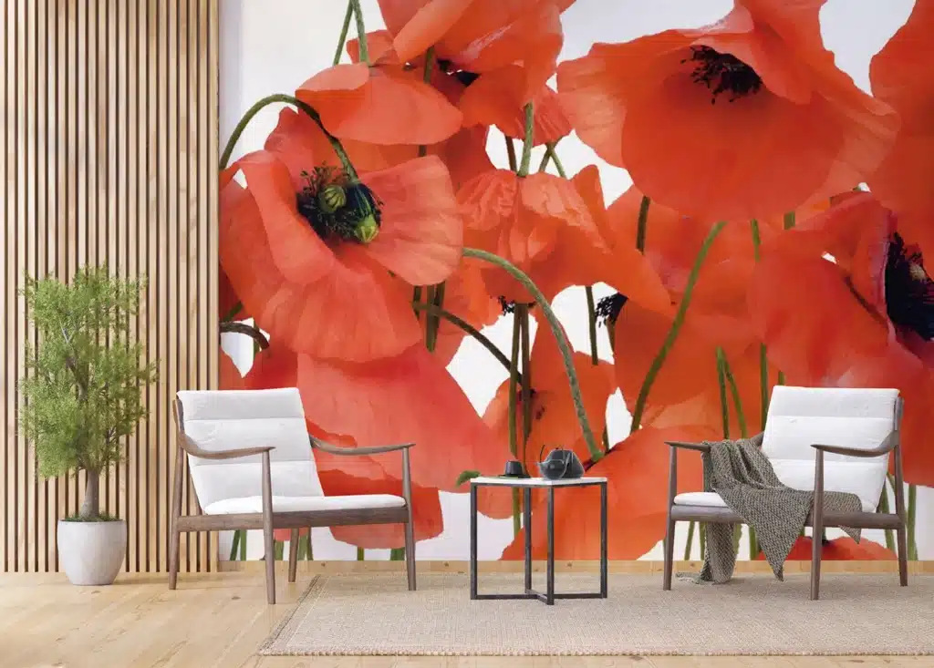 Wall Mural Wild Poppies, Made to Measure, FTNS 2461 4