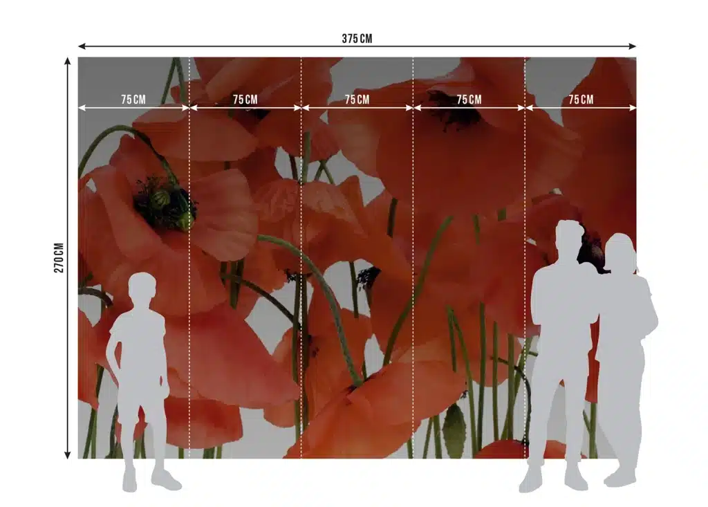 Wall Mural Wild Poppies, Made to Measure, FTNS 2461 8