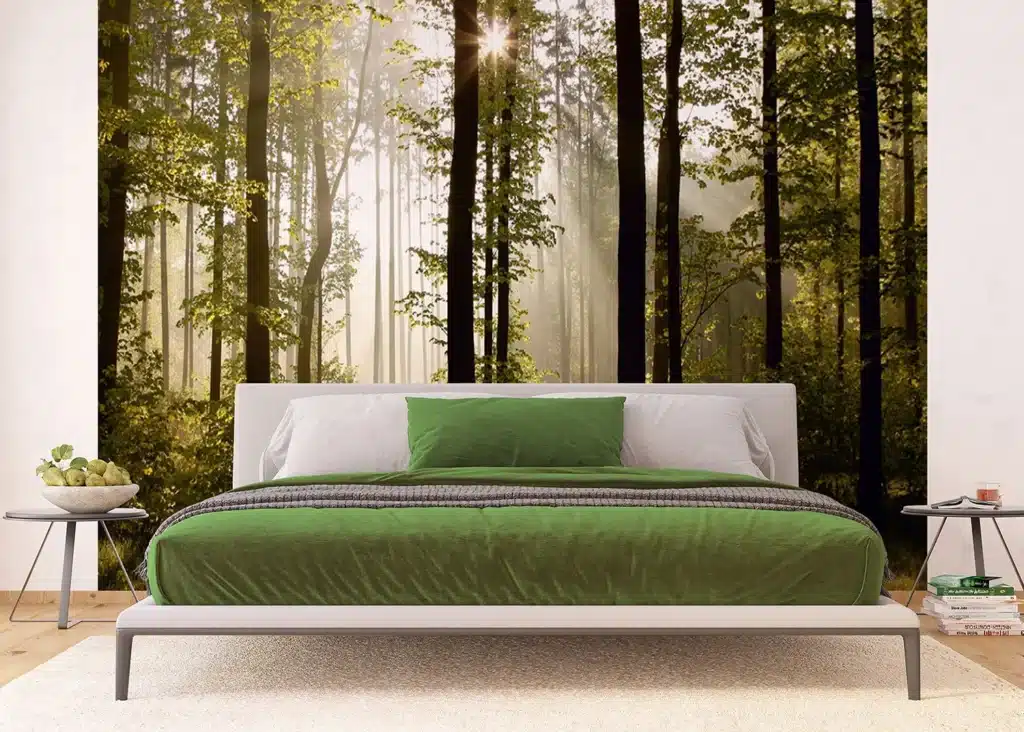 Wall Mural Morning Forest, Made to Measure, FTNS 2447 4