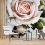 Wall Mural Rose, 375 x 270 cm, FTNXXL 0313