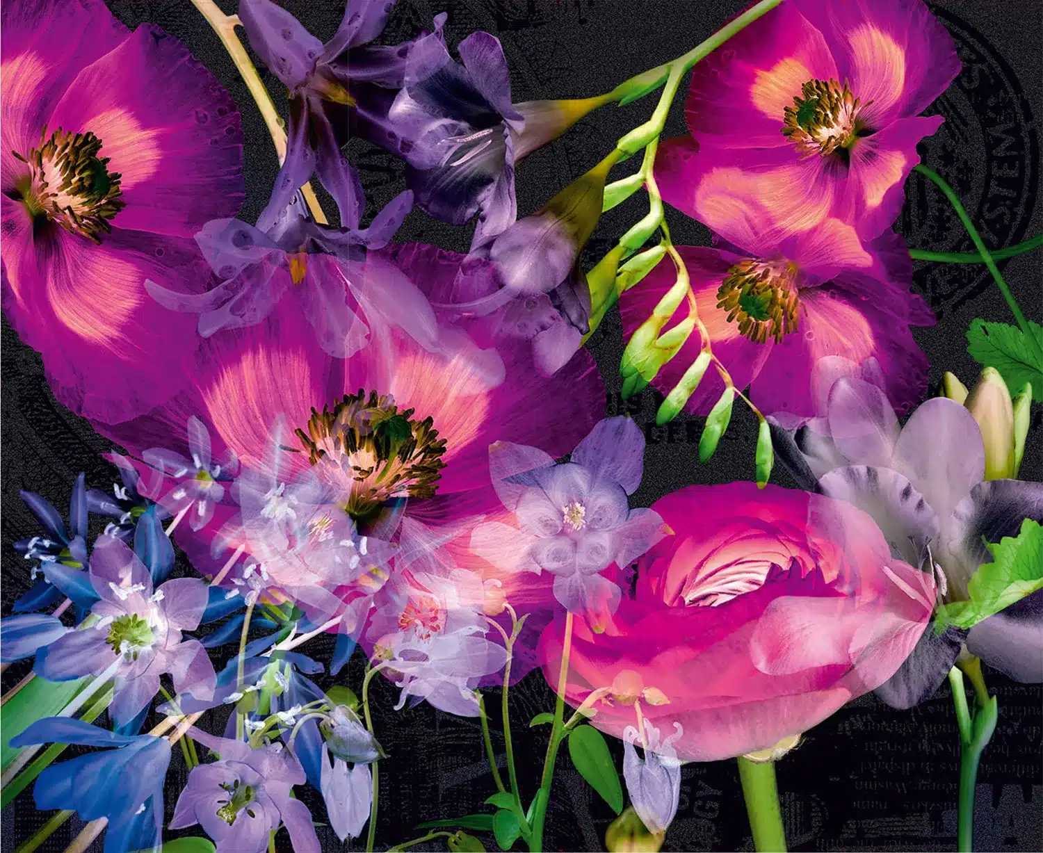 Violet Flowers | Made-to-Measure Wallpaper | Artlook | FTNXXL 0389