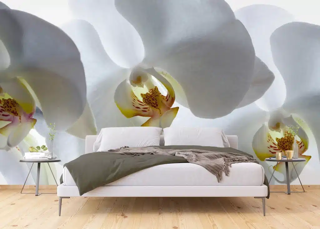 Wall Mural White Orchid, Made to Measure, FTNXXL 0466 3