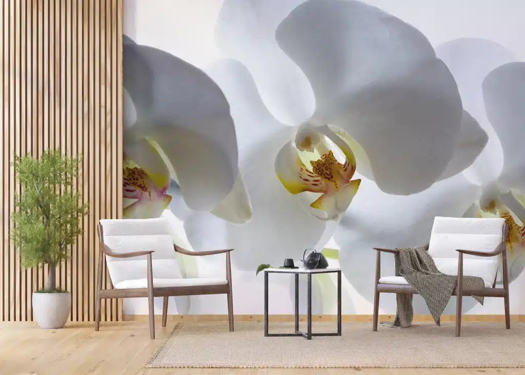Wall Mural White Orchid, Made to Measure, FTNXXL 0466 6