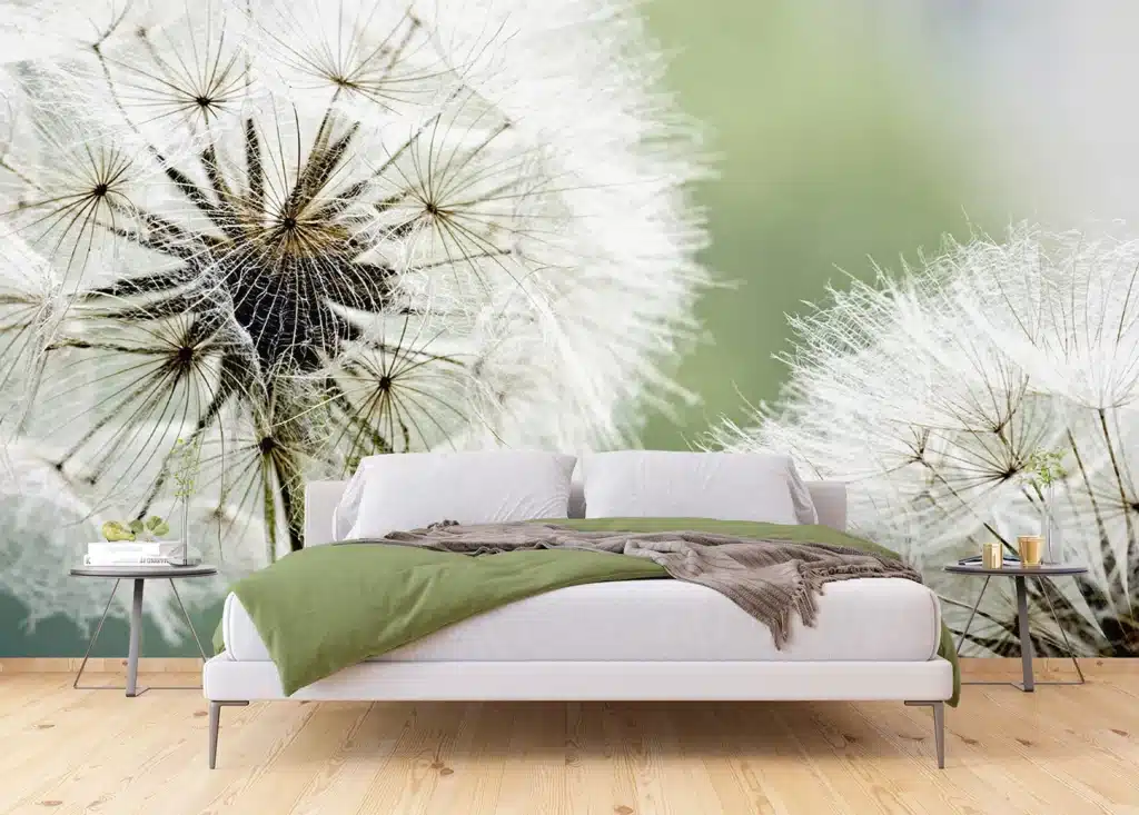 Wall Mural Dandelion, Made to Measure, FTNXXL 0477