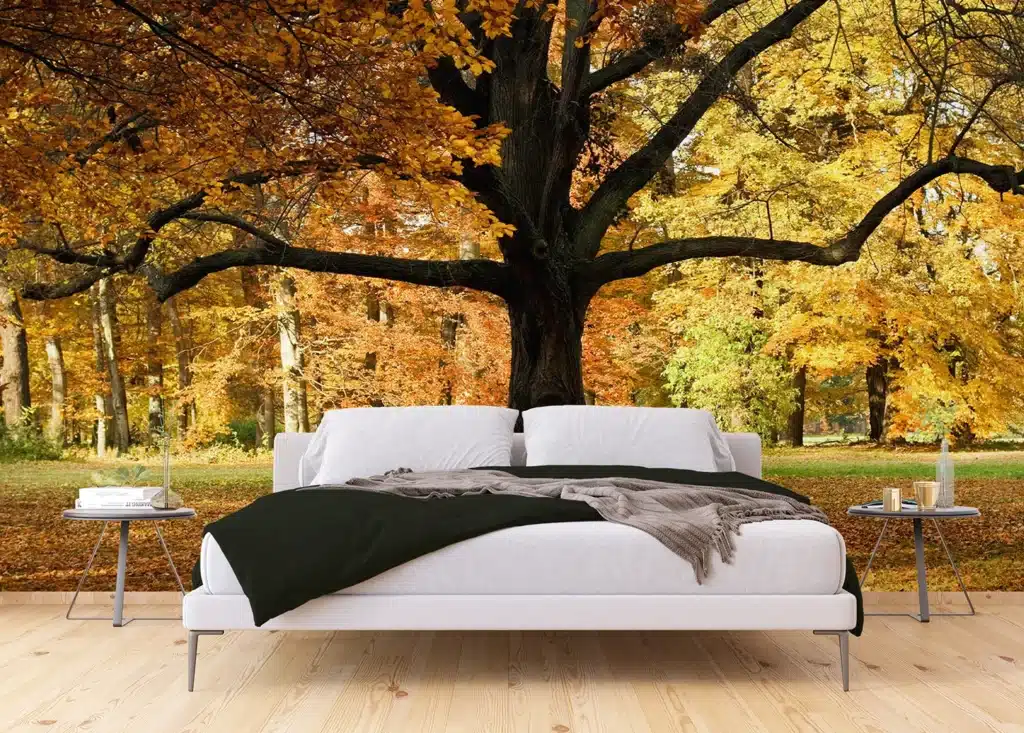 Wall Mural Tree, Made to Measure, FTNXXL 2427 4