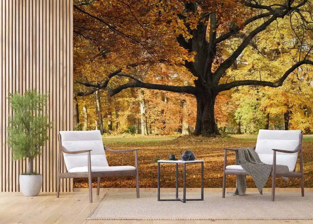 Wall Mural Tree, Made to Measure, FTNXXL 2427 2