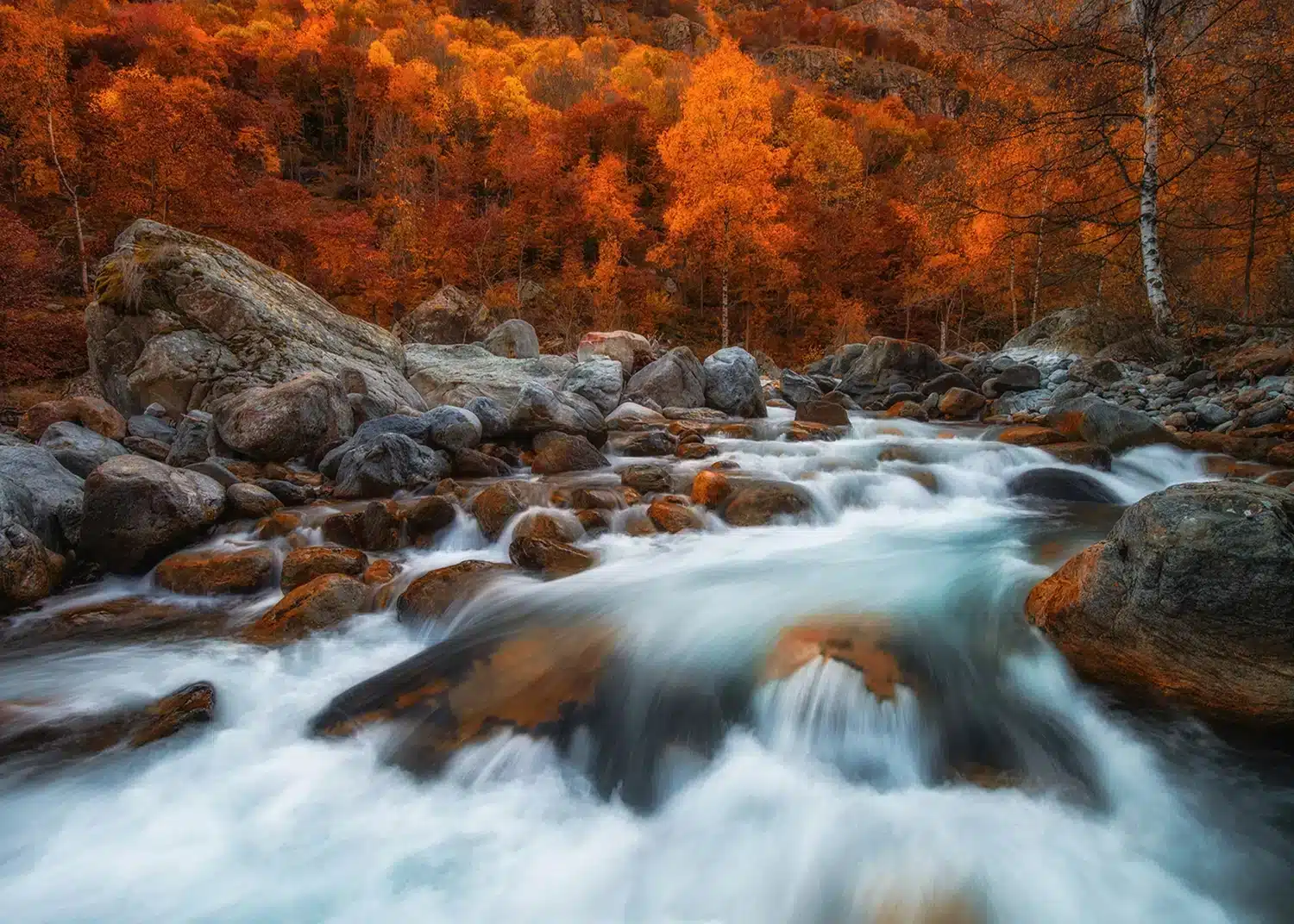 Autumn River | Made-to-Measure Wallpaper | Artlook | FTNXXL 3012