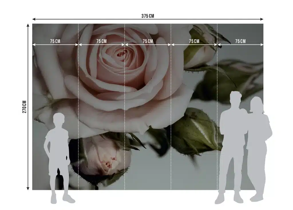 Wall Mural Rose, Made to Measure, FTNXXL 0313 8