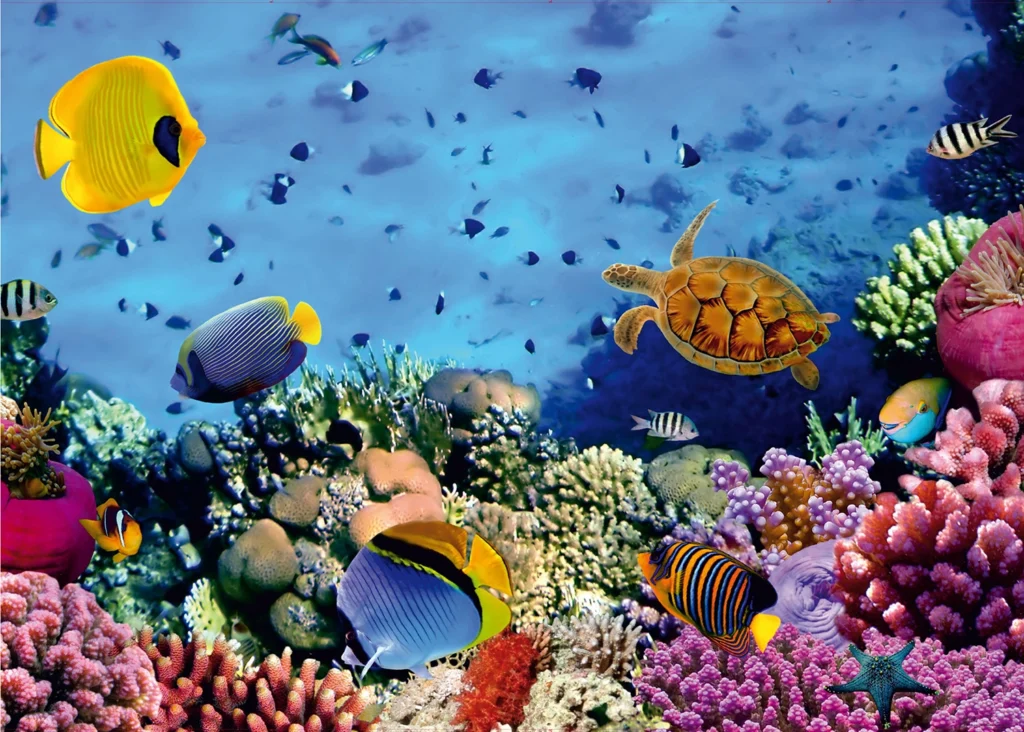 Wall Mural Underwater, Made to Measure, FTNXXL 0375