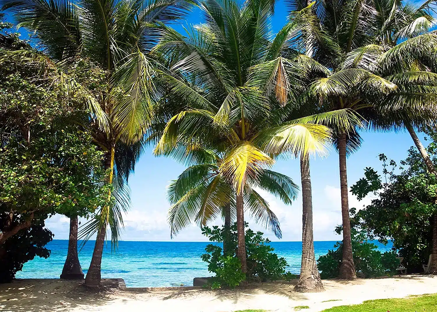 Beach Palms | Made-to-Measure Wallpaper | Artlook | FTNXXL 0384