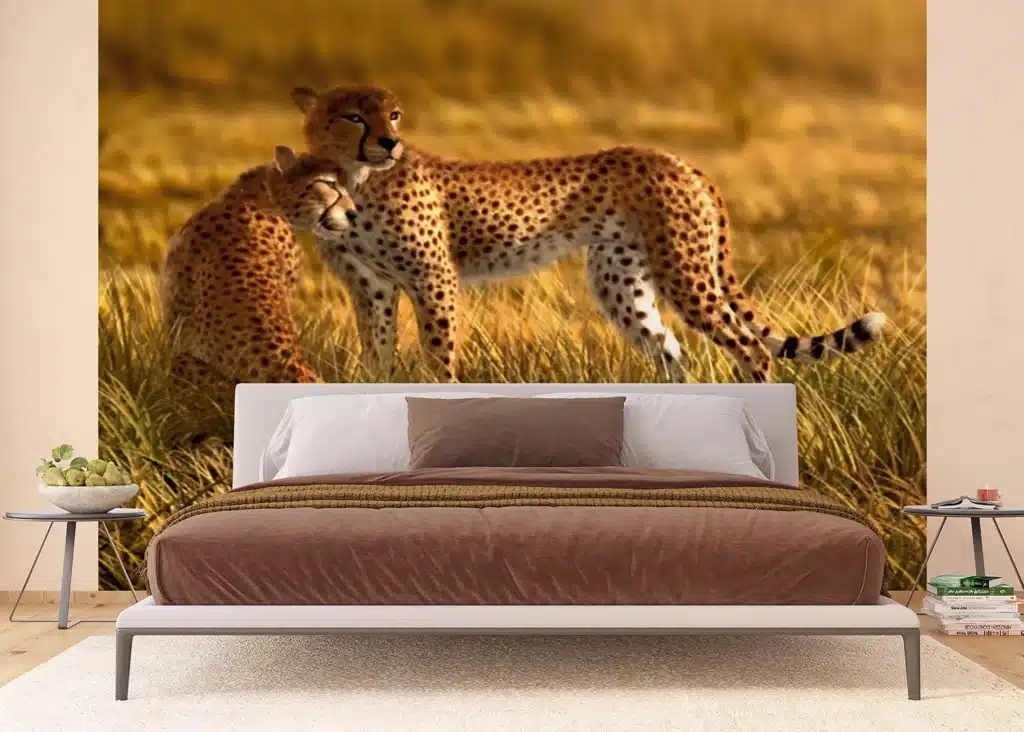 Wall Mural Cheetah, Made to Measure, FTNXXL 0420