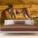 Wall Mural Cheetah, 375 x 270 cm, FTNXXL 0420