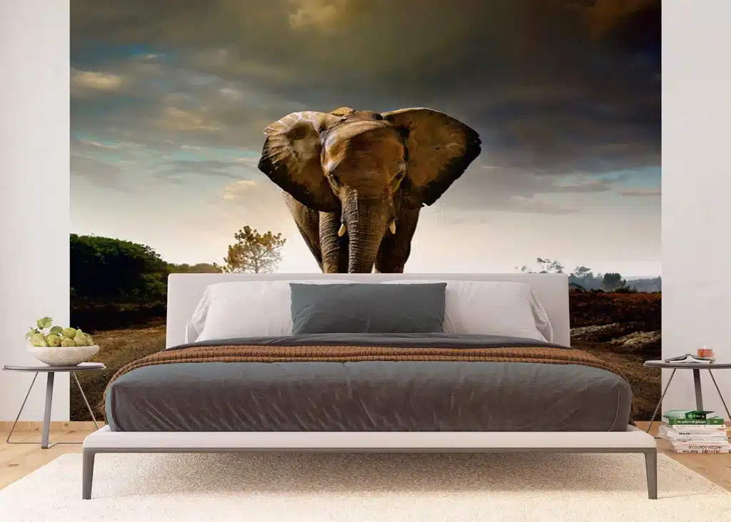 Wall Mural Elephant, Made to Measure, FTNXXL 0438 3