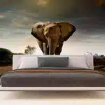 Wall Mural Elephant, 375 x 270 cm, FTNXXL 0438