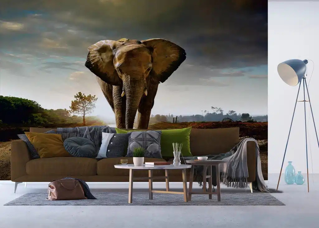Wall Mural Elephant, Made to Measure, FTNXXL 0438 5