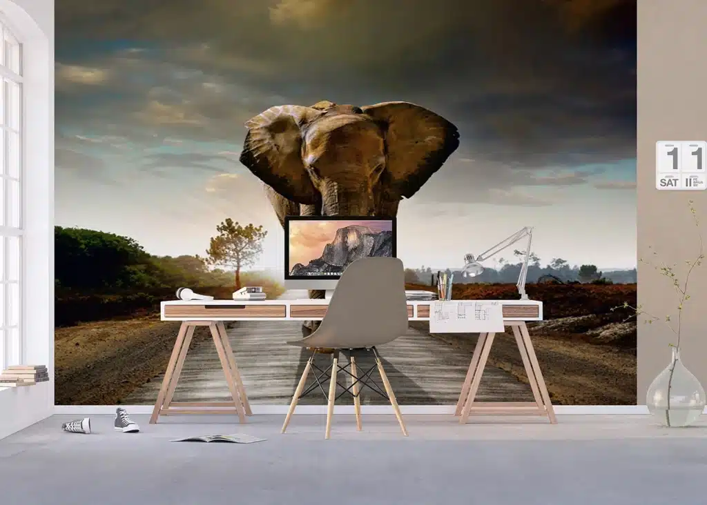 Wall Mural Elephant, Made to Measure, FTNXXL 0438 6