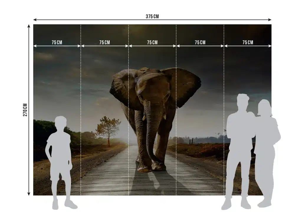 Wall Mural Elephant, Made to Measure, FTNXXL 0438 8