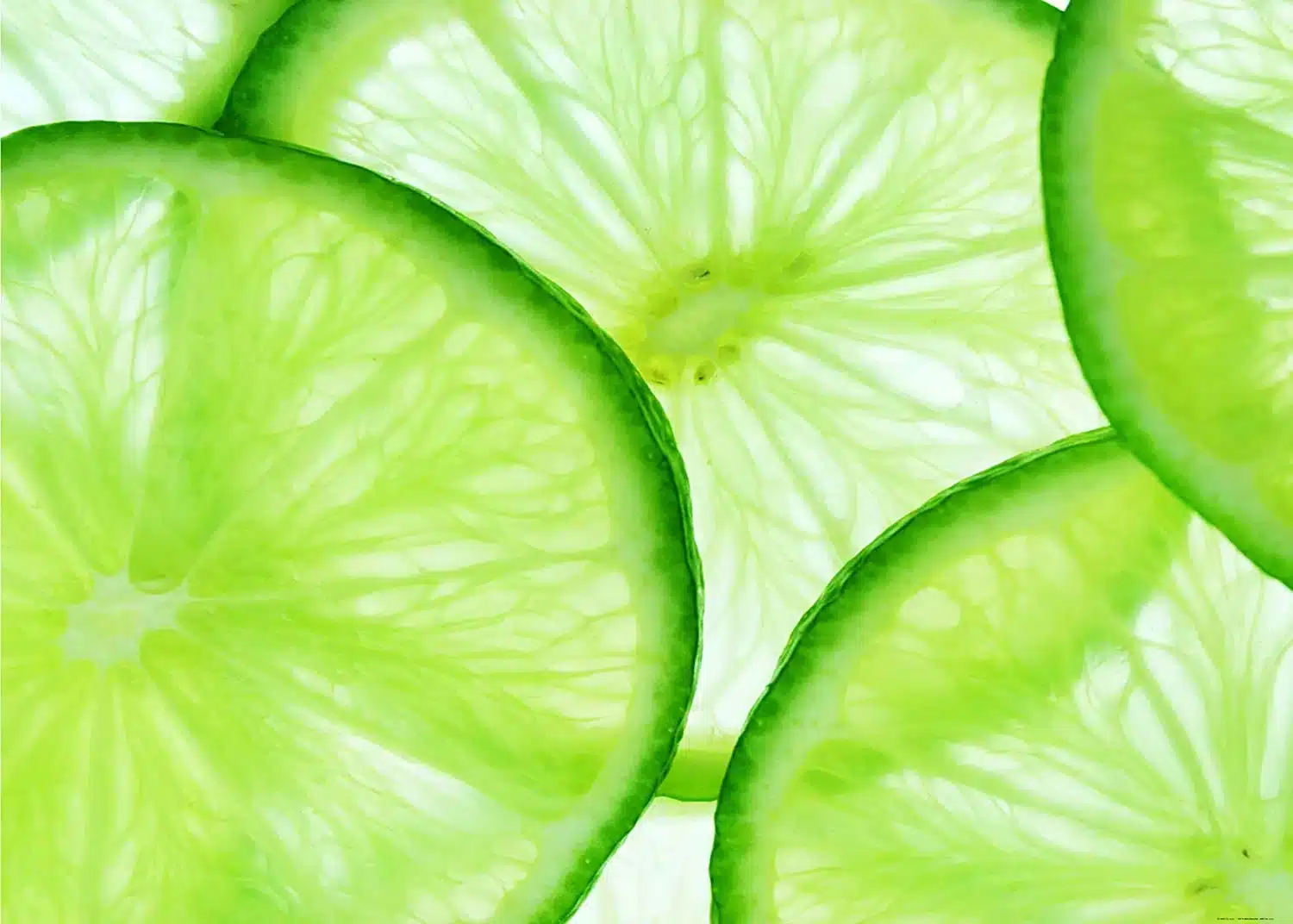 Green Limes | Made-to-Measure Wallpaper | Artlook | FTNXXL 0440