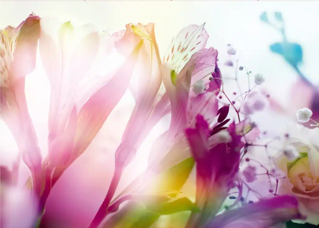 Wall Mural Flowers, Made to Measure, FTNXXL 0443